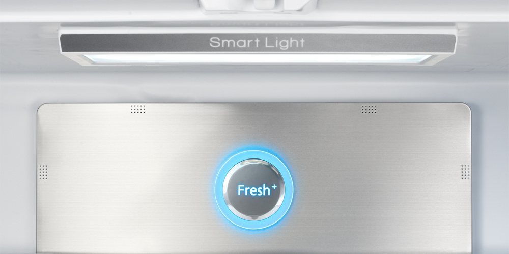 Fresh Zone